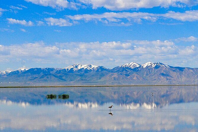 3 Day Yellowstone, Grand Teton Winter Discovery Small Group Tour - FAQ