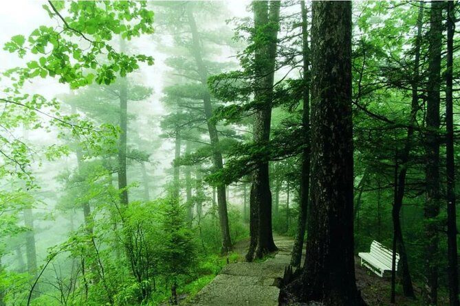 3-Day Yichun City Private Tour with Forest Parks Visit from Harbin - Key Points