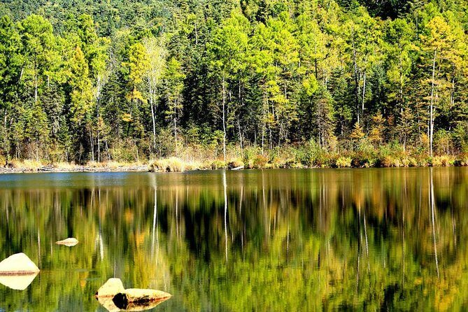 3-Day Yichun City Private Tour with Forest Parks Visit from Harbin - What Makes This Tour Stand Out?