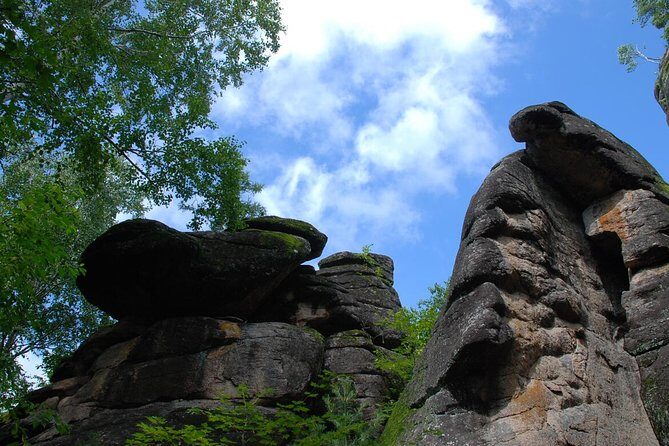 3-Day Yichun City Private Tour with Forest Parks Visit from Harbin - The Practical Side: Transportation, Cost, and Comfort