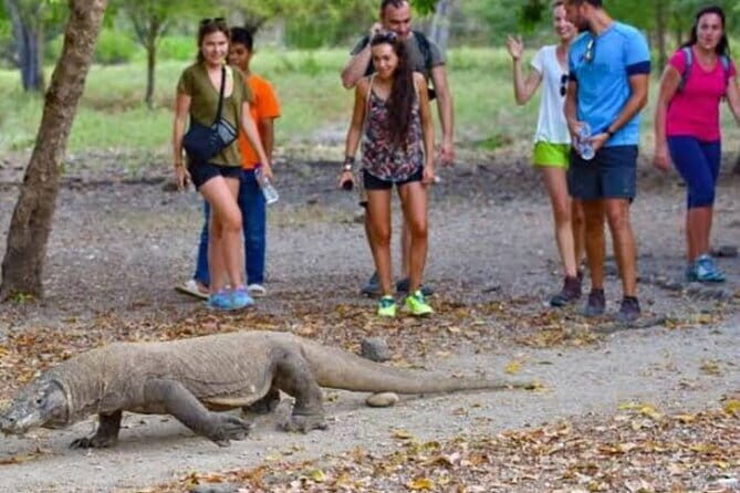 3 Days 2 Night Labuan Bajo Komodo National Park Sunset Tour - An In-Depth Look at the 3-Day Itinerary