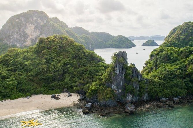 3 Days 2 Nights on Swan Cruises visiting Bai Tu Long bay Thien Canh Son cave - Who Will Love This Experience?