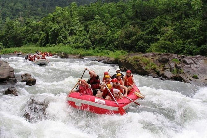 3 Days Adventure and Wildlife Tour - What the Tours’ Reviews Reveal