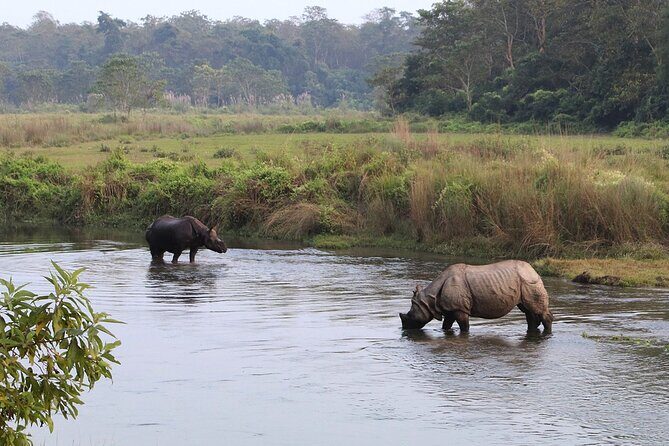 3 Days and 2 Nights Chitwan National Park Safari Tour in Pokhara - Final Thoughts: Who Will Love This Tour?