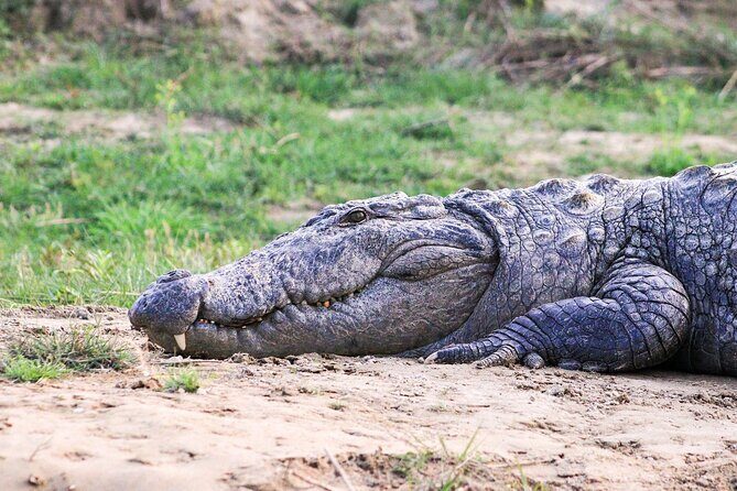 3 Days and 2 Nights Chitwan National Park Safari Tour in Pokhara - FAQ