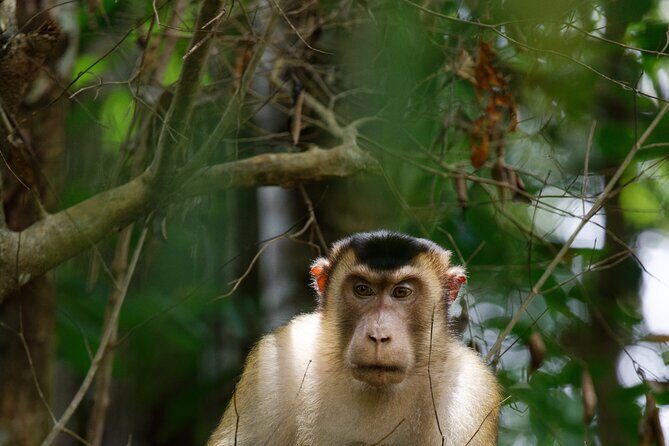 3 Days Bukit Lawang Tour (Happy Jungle) - FAQ