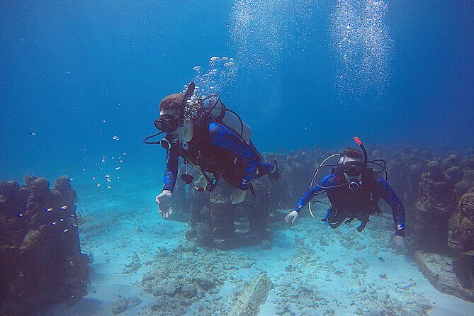 3 Days Class: SDI Open Water Diver Certification in Cancun - What to Expect from the Cancun SDI Open Water Certification