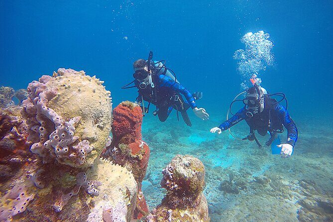 3 Days Class: SDI Open Water Diver Certification in Cancun - The Value Proposition: Is It Worth It?