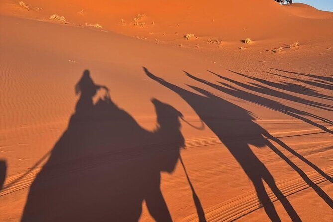 3 Days Desert Tour From Marrakech To Merzouga Dunes & Camel Trek - Who Should Consider This Tour?