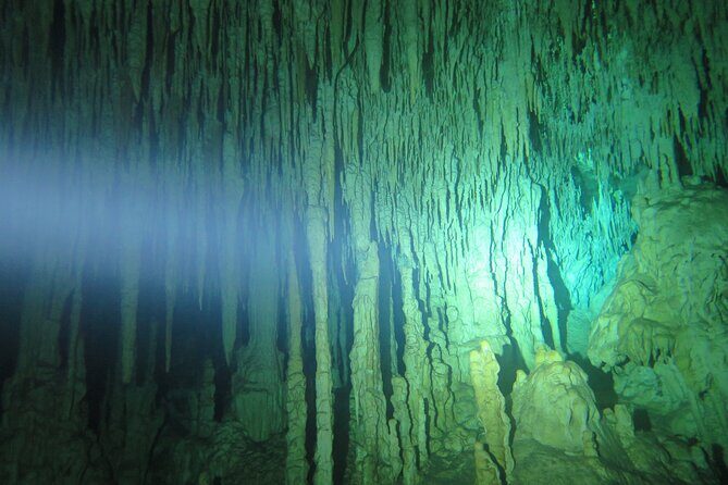 3 days diving in cenotes for certified divers - The Day-to-Day Experience
