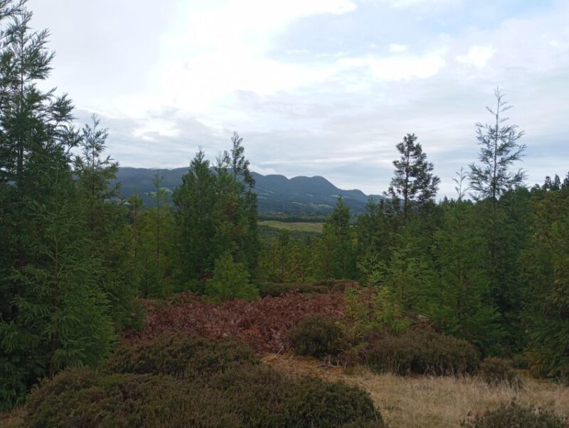 3 Days Excursion in Terceira island - Azores - Key Points