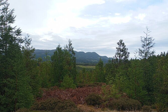 3 Days Excursion in TrilhAzores - Day 2: Coastal Trails and Panoramic Views