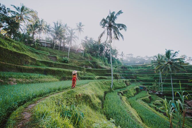 3 Days for the best of Ubud Private Tour - Final Thoughts