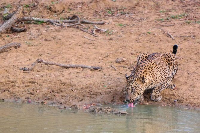 3 Days Honeymoon Glamping Tour - Final Thoughts: Is This Tour Right for You?