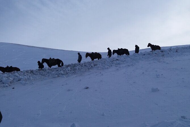 3 days horse back riding to Song-Kul lake whole year round - An In-Depth Look at the 3-Day Horseback Riding Tour