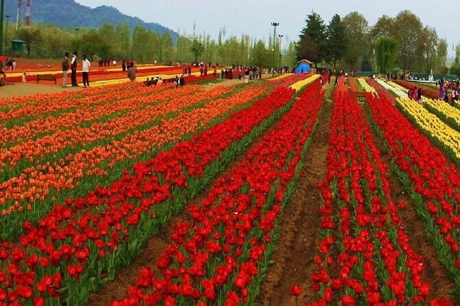 3 Days Kashmir Houseboat Tour in Srinagar - Practical Details & Tips