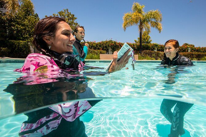 3 days Open Water Course | Scuba Diving - Introduction: Why This 3-Day Open Water Course in Funchal Might Be Just What Youre Looking For