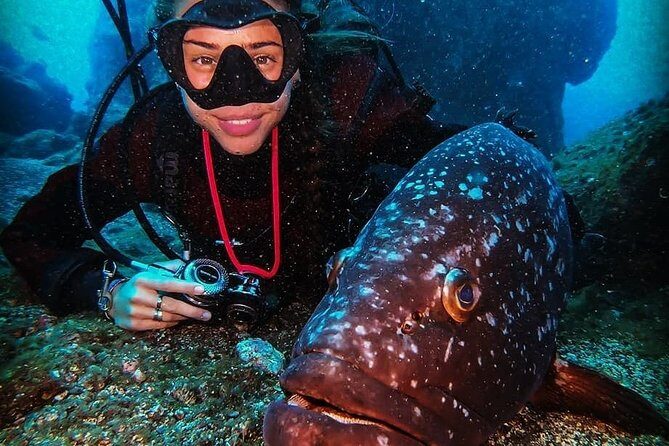 3 days Open Water Course | Scuba Diving - A Deep Dive Into What This Course Offers and Why It Works