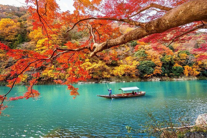 3 Days Private Osaka Kyoto and Nara Tour with English Driver - Key Points