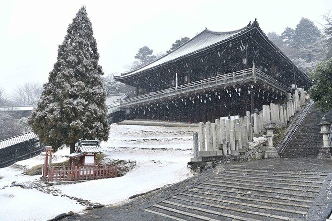 3 Days Private Osaka Kyoto and Nara Tour with English Driver - What the Reviews Say