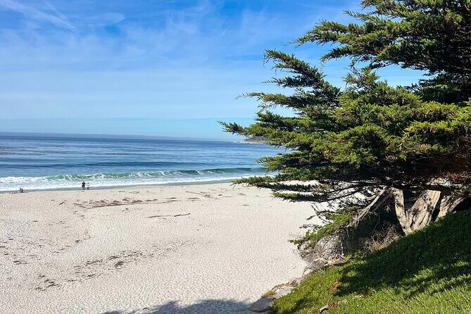 3 Days Private Pacific Tour to Big Sur Hearst Castle and more - Key Points