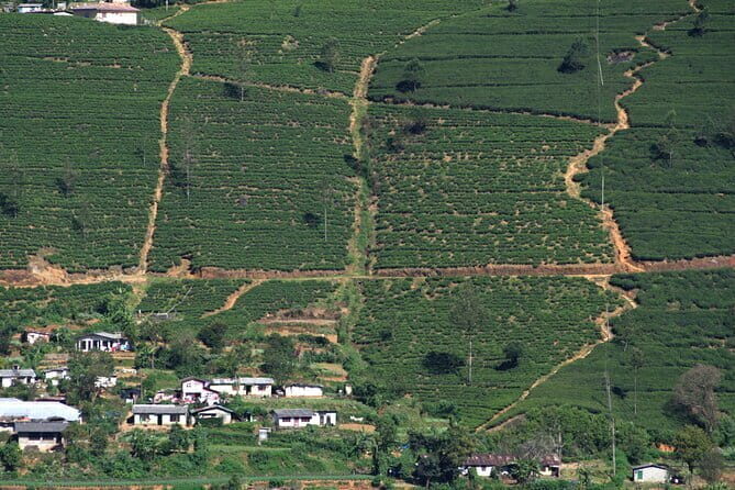 3 Days Private Tour in Sri Lanka - A Closer Look at the 3-Day Sri Lanka Tour