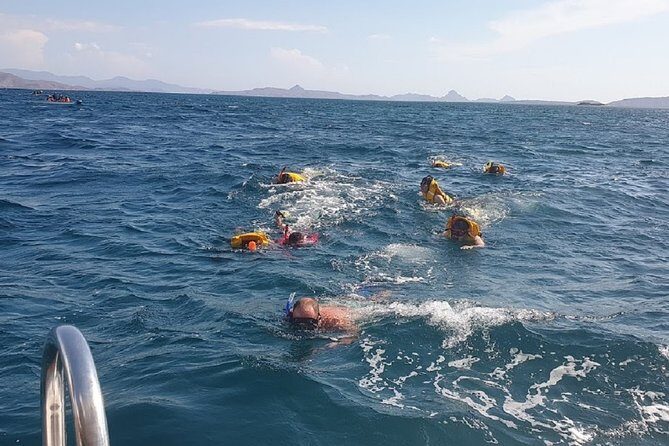 3-Days Sailing Komodo Island,Padar & Manta Point departure every Friday - Who is This Tour for?