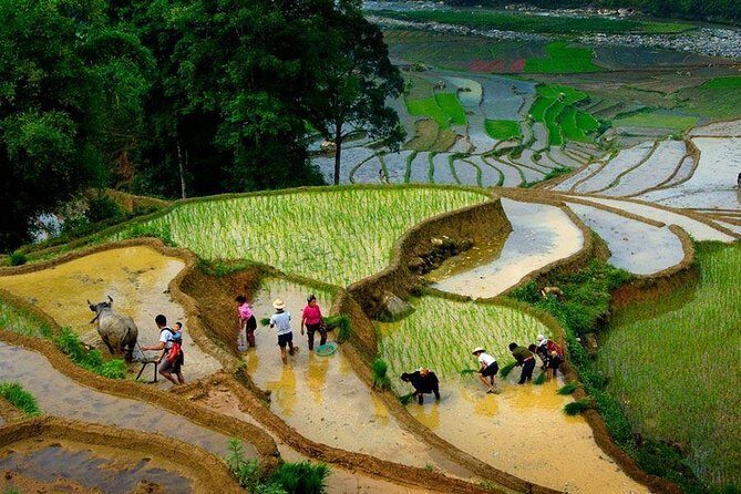 3 Days SAPA Real Experience at Local People House - The Value of This Tour