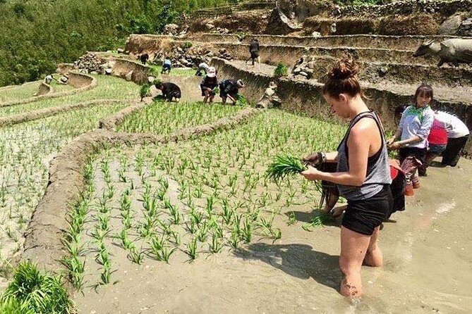 3 Days SAPA Real Experience at Local People House - Practicalities and Considerations