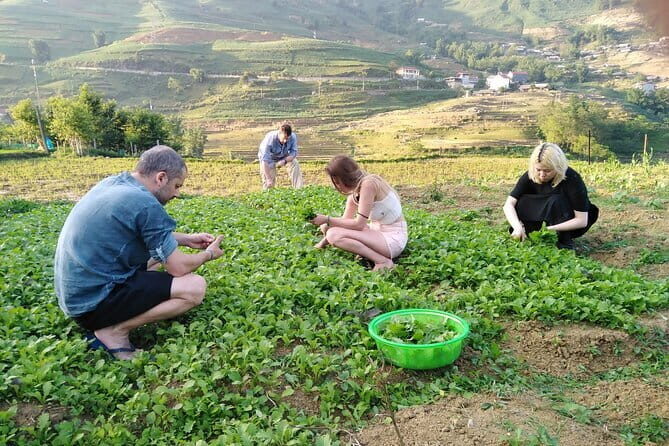 3-Days Sapa Trekking With Local Guide Overnight in Tavan Village - The Experience: What Makes It Stand Out