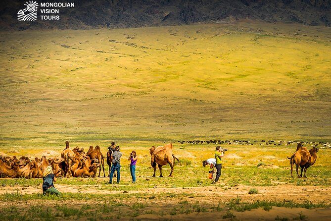 3 days Semi Gobi Desert and Chinggis Khaan Statue - A Deep Dive into the 3-Day Mongolian Adventure