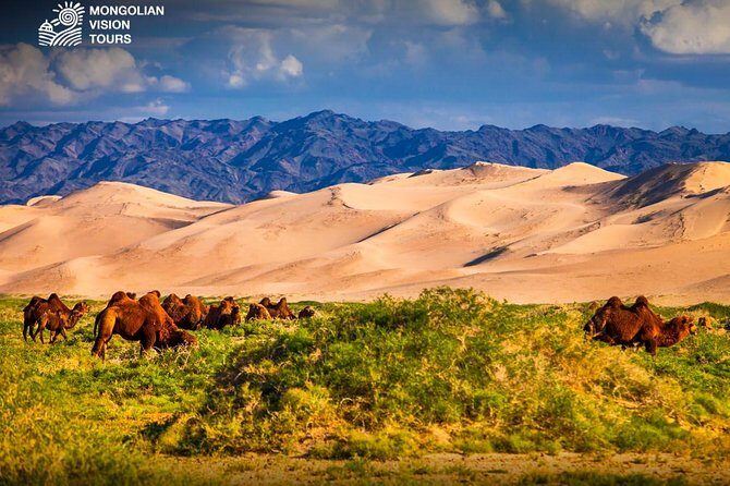 3 days Semi Gobi Desert and Chinggis Khaan Statue - Frequently Asked Questions