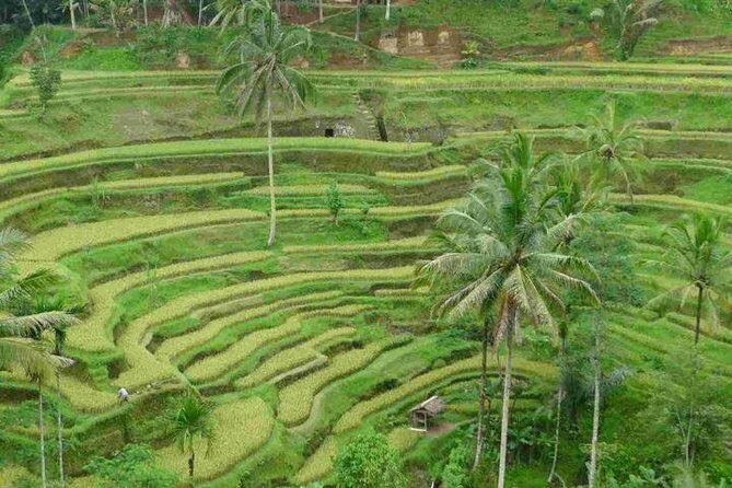 3 Days Sightseeing to the Famous Place in Bali - Practical Information and Considerations