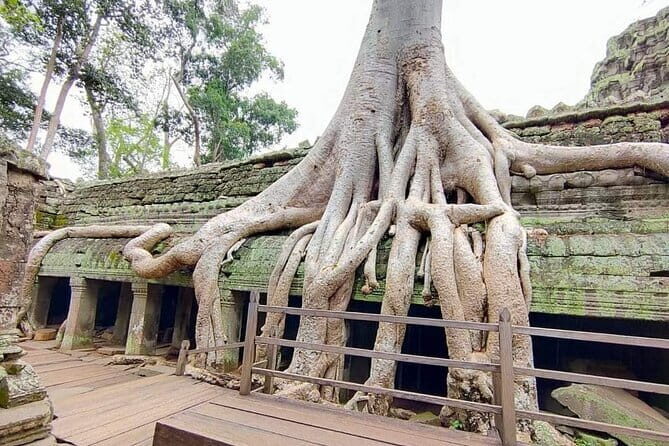 3 days tour in Siem Reap - What Makes This Tour Stand Out?