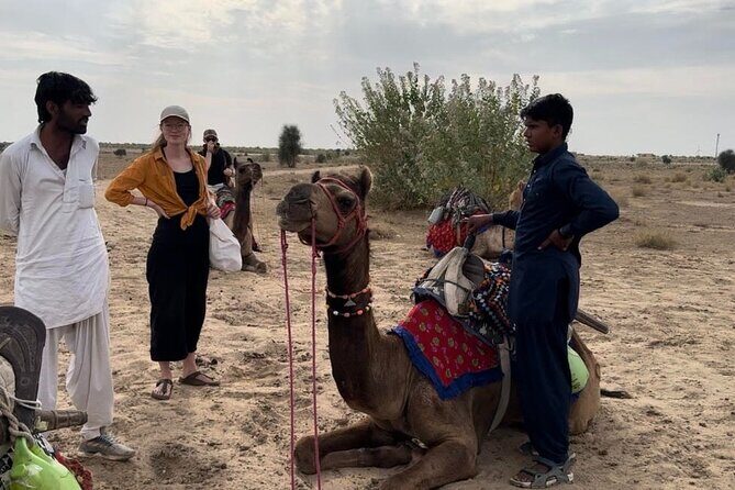 3 Days Tour in Wild Desert Safari - A Deep Dive into the 3-Day Wild Desert Safari Experience