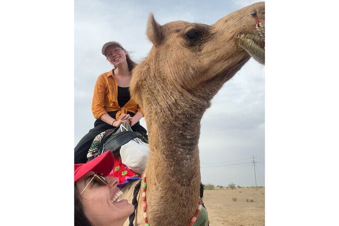 3 Days Tour in Wild Desert Safari - FAQ