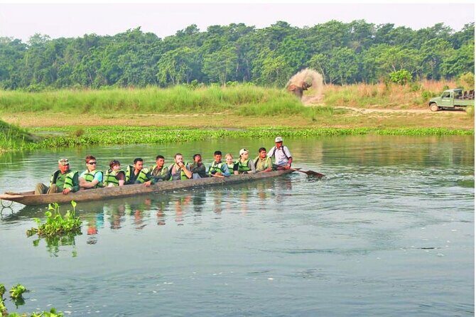 3-Days Tower Night Stay inside Jungle Tour - Day 2: Jungle Walks, Canoe Ride, and Cultural Exploration