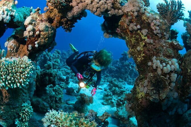 3 Fun dives in Phi Phi islands for Certified Divers - Key Points