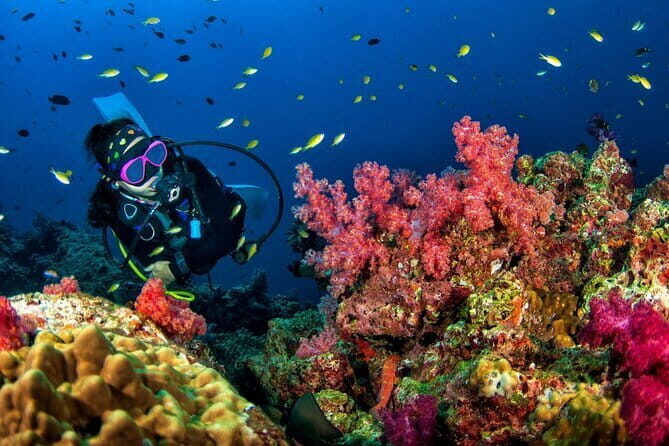 3 Fun Dives King Cruiser Wreck and Koh DokMai for Certified diver - FAQs