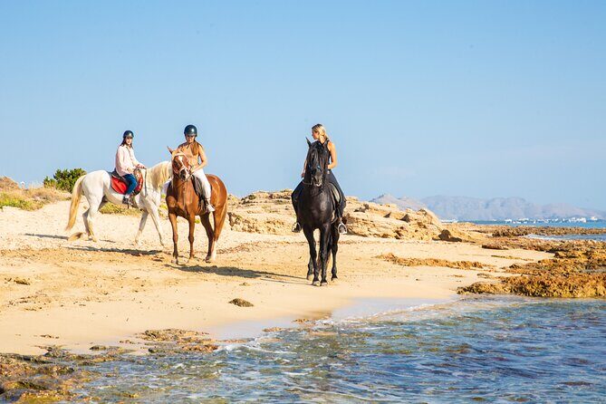 3-Hour Beach Horse Riding to Discover the Beauty of Alcudia Bay - Real Experiences and Honest Feedback