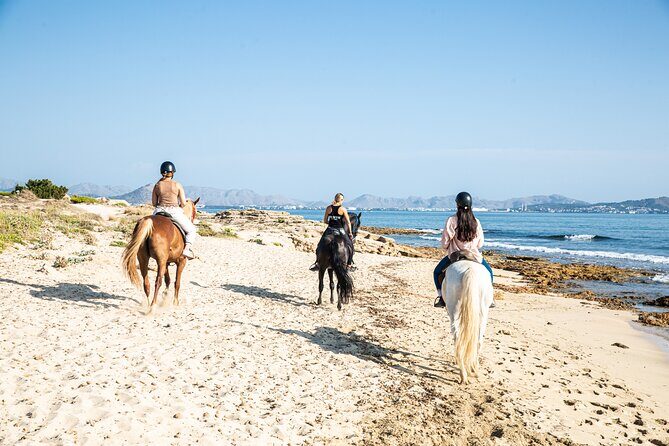 3-Hour Beach Horse Riding to Discover the Beauty of Alcudia Bay - Itinerary Breakdown