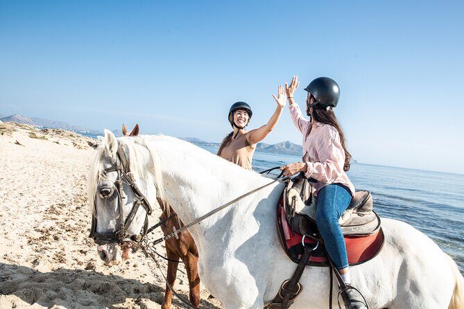3-Hour Beach Horse Riding to Discover the Beauty of Alcudia Bay - Practical Tips
