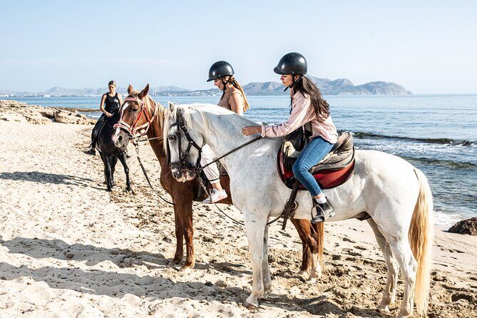 3-Hour Beach Horse Riding to Discover the Beauty of Alcudia Bay - The Sum Up: Who Will Love This?