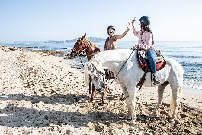 3-Hour Beach Horse Riding to Discover the Beauty of Alcudia Bay - FAQ
