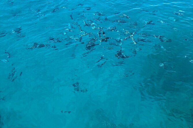 3-hour boat tour - FAQs