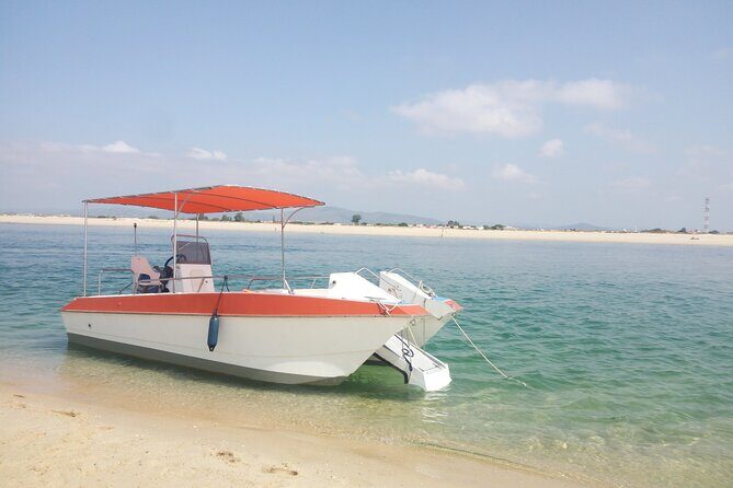 3 Hour Boat Tour in Ria Formosa - An In-Depth Look at the Ria Formosa Boat Tour