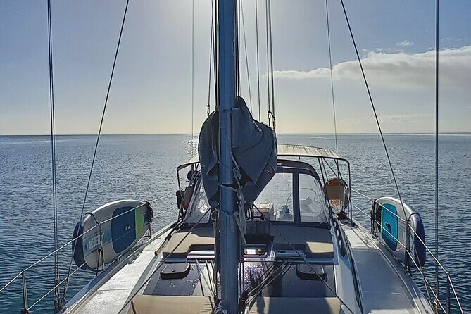 3 Hour Boat Trip to Ponta da Piedade - Key Points