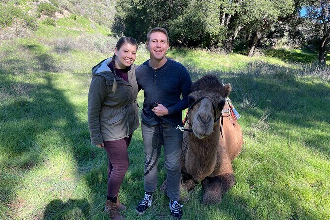 3 Hour Camel Trek into the Forest and Ranch in California - What to Expect from the Camel Trek Experience