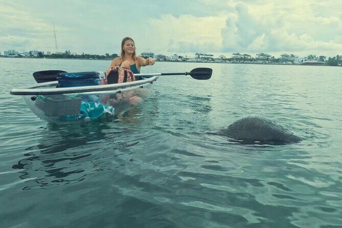 3-Hour Clear Kayak Beach Hopping Adventure in Sarasota - Who Should Consider This Tour