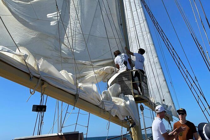 3 Hour Cruise Experience from Vilamoura - Practical Tips for Booking and Enjoying